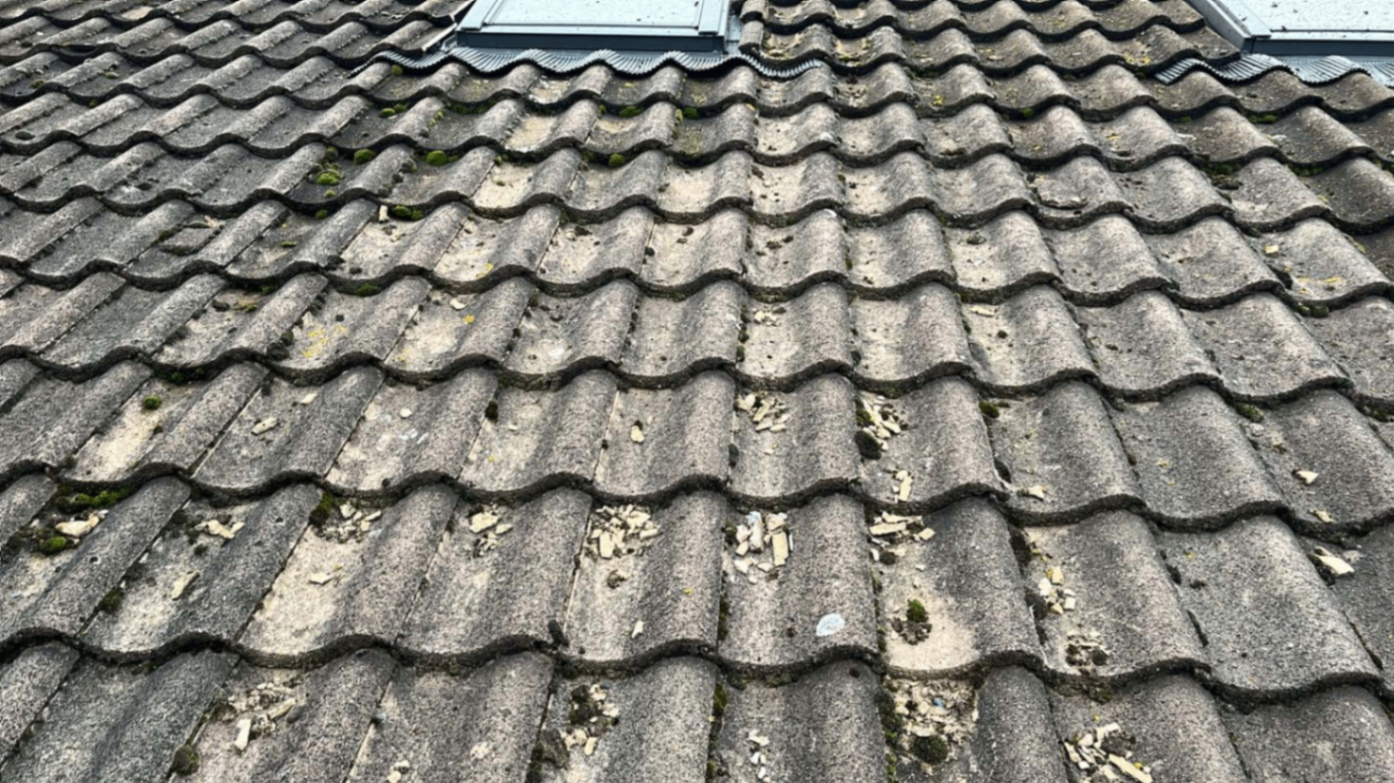 Close-up of thick moss between roof tiles before cleaning