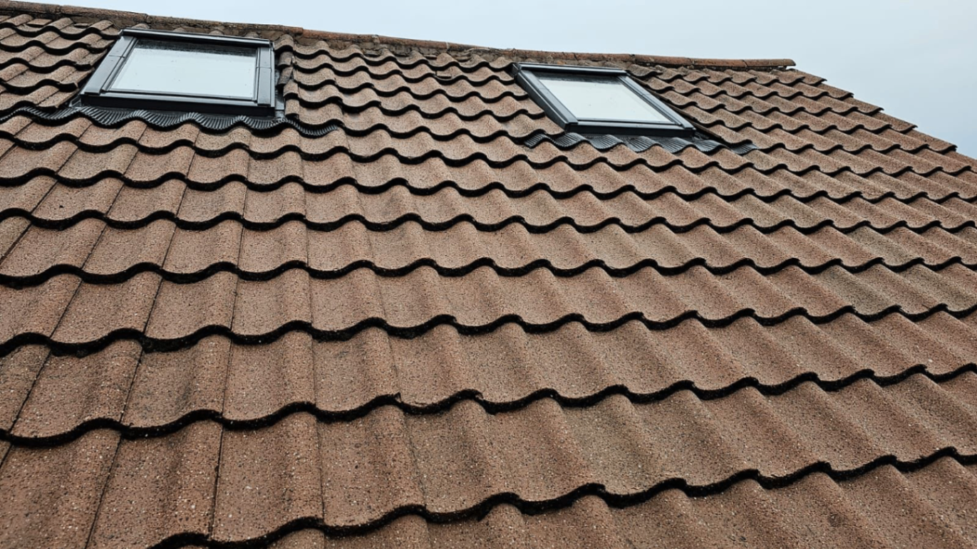 Freshly cleaned tiled roof with two skylights after moss removal