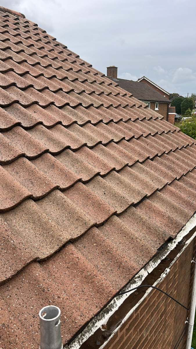 Weathered brown roof tiles with moss growth before treatment